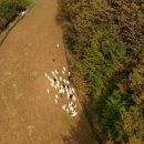 옥전목장 이미지