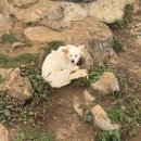 증산초등학교 | 민둥산 후기 | 초보 등산코스 | 민둥산 주차위치