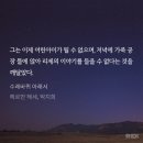에바돈가츠세이브존 | 2024년 1월~5월