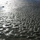 이원초관동분교 이미지