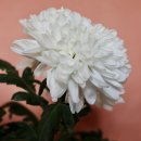 달하나빛 이미지