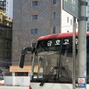 지는 야구 보러 부산에서 광주까지 간 사람