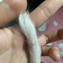 포항중앙동물병원 이미지