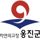 옹진군청 티스토리