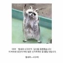 백만대중목욕탕(목욕탕 건물입구 우측) | 좋아하는 걸로 꾸욱 와악 채운 6월의 주말 일상(부재:청춘목욕탕)