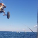 등나무집민박 이미지