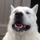 안녕하세요 이미지