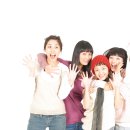 펫브릿지 이미지