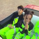 니즈더펫 이미지