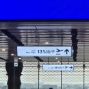 우등농장 | 가성비 대박이었던 취항특가 신생 저가항공 파라타항공 제주행 후기(아이랑)