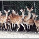 와룡농장 이미지