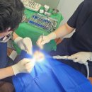 마음심는기공소 네이버블로그