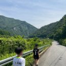 정선떡집이야기/정선농원 | 가네골농원. 축구장있는 캠핑장 찾아 정선까지 간 내돈내산 후기