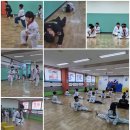 신화정 태권도 이미지