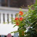 신갈유치원 이미지