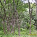 배론농장 이미지