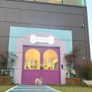 퍼피힐(PUPPY HILL) 이미지