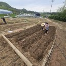 이순농장 이미지