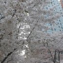 홍주농장 이미지