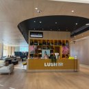 신라가든 | 강원도 강릉 신라모노그램 레지던스 디럭스 더블가든 오션뷰 상세 후기