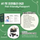 서울애견 | 남이섬 강아지랑 다녀온 후기｜서울근교 애견동반 여행 추천