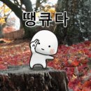 오키토키 이미지
