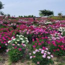 삼성현역사문화공원 이미지