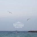 크로톤풀 빌라 이미지