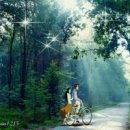 사랑으로 이미지