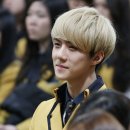 멜팅포인트 이미지