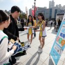 새빛체육관 이미지