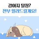 부곡동물병원 이미지