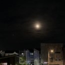 오시리아인펜션 | 부산 기장 숙소 오시리아인펜션 301호 후기 (내돈내산)