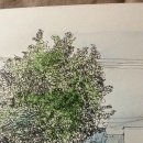 금스세탁소 이미지