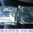 목포차키 이미지