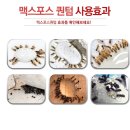 개미약국 이미지