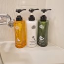 HOTEL마루 | 일본 도쿄 여행 4박 5일 가성비 숙소 추천 APA Hotel Nihombashi Bakurocho Ekimae 솔직 후기