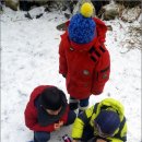 수원-1241 이미지