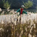 웰빙황토마을 | 충북 진천군 초평호(농다리-미르309 출렁다리) 웰빙트레킹