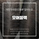 한가닥머리손톱싸롱 | [대전 두피문신] 도안동 가르마문신, 두피문신 smp 잘하는곳 찐후기 "모어블랙"