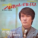 사랑하는 마음 / 김영관 (1972) 이미지