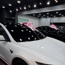 블랙게러지 | [안산 썬팅 블랙아머] 씽카스게러지 테슬라 모델3 썬팅 후기