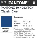 Color of the Year 2020 - PANTONE 이미지