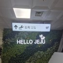 마소농장 | 제주도 1탄