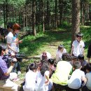 숲속유치원 이미지