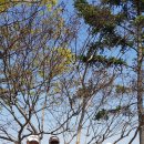 수원-0428 이미지