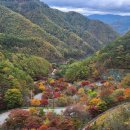 아름다운 보발재 단풍 이미지