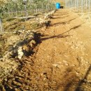 물골농장 이미지