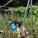 하늘바다어린이집 이미지