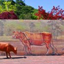 물레방아정육점 이미지